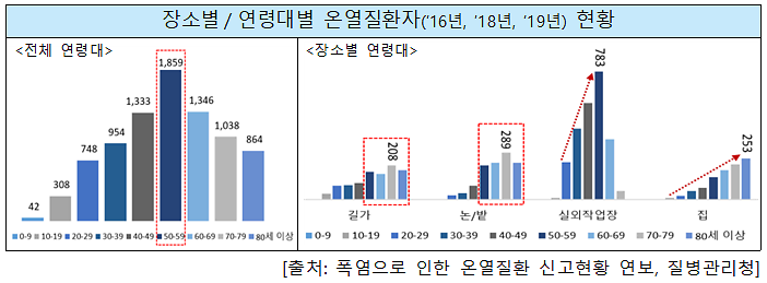 장소별, 연령대별 온열지환자 현황