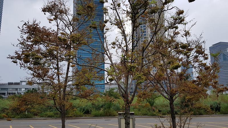 20180825_065915.jpg 이미지