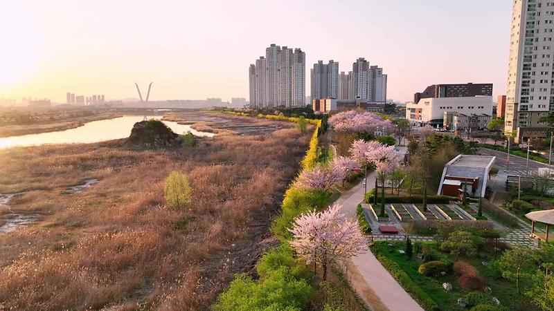 2022년 송도국제도시 공원녹지의 봄 사진