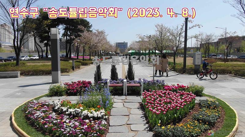 2023 송도튤립음악회 사진