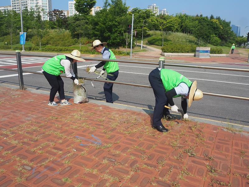 (18.07.27)_전직원_참여_공단_주변_환경정비활동3.jpg 이미지