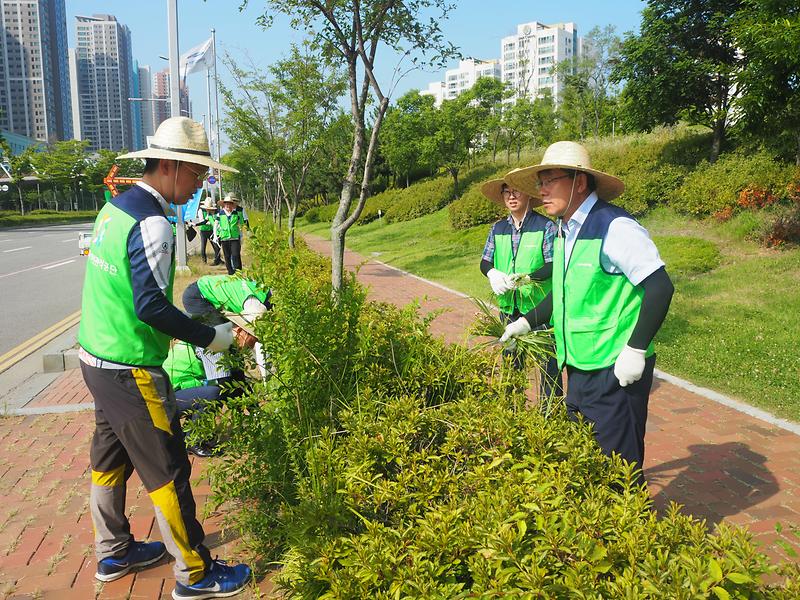 (18.07.27)_전직원_참여_공단_주변_환경정비활동4.jpg 이미지