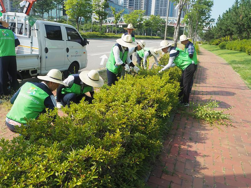 (18.07.27)_전직원_참여_공단_주변_환경정비활동5.jpg 이미지