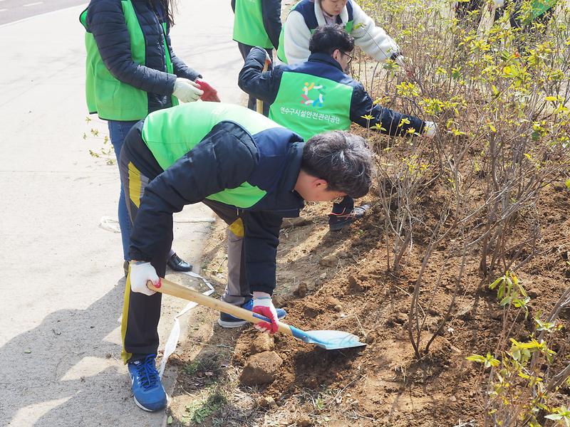 20190405_식목일행사_송도누리공원_(109).jpg 이미지