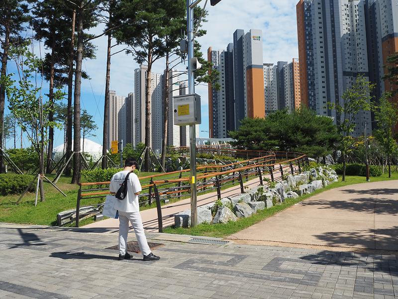 환경안전모니터링단 1차활동(누리공원 실습) 이미지