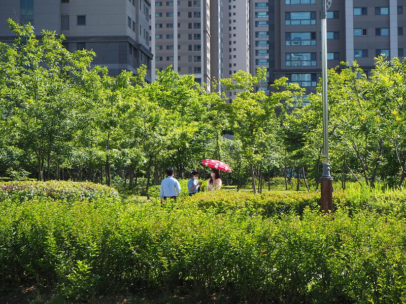 환경안전모니터링단 1차활동(누리공원 실습) 이미지