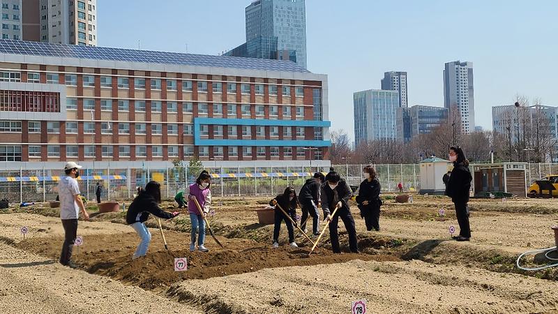 2022년 송도행복텃밭 개장(2022.4.1.) 사진