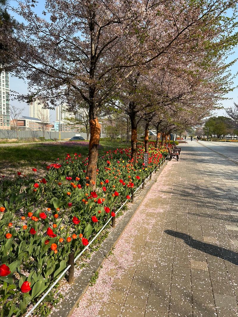 공원녹지_2.jpg 이미지