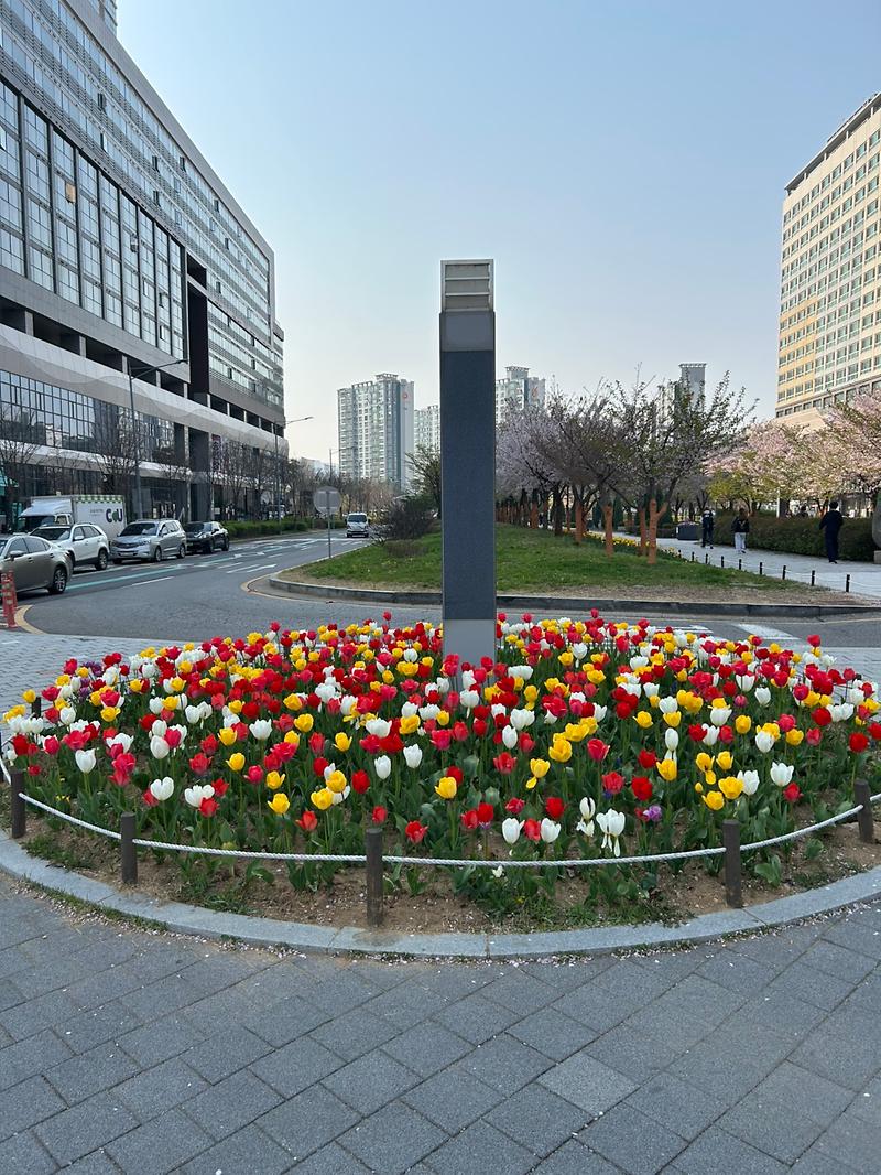 공원녹지_3.jpg 이미지