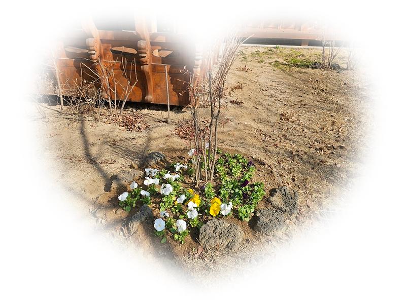 관련사진_공원녹지팀_3_편집.jpg 이미지