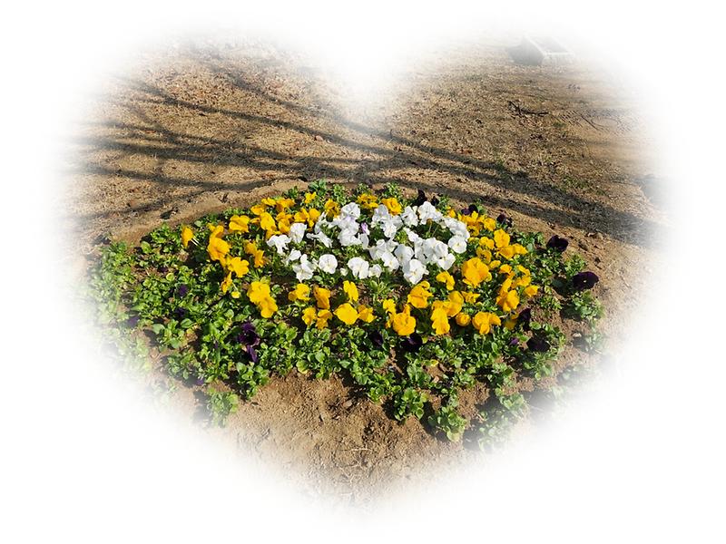 관련사진_공원녹지팀_4_편집.jpg 이미지