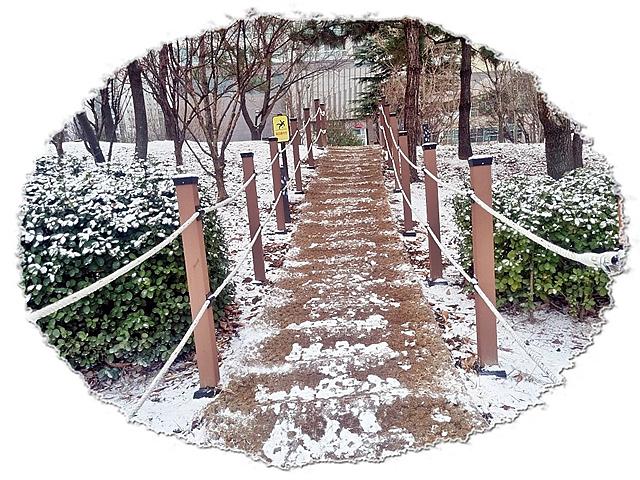 KakaoTalk_20260119_133308697_01.jpg 이미지