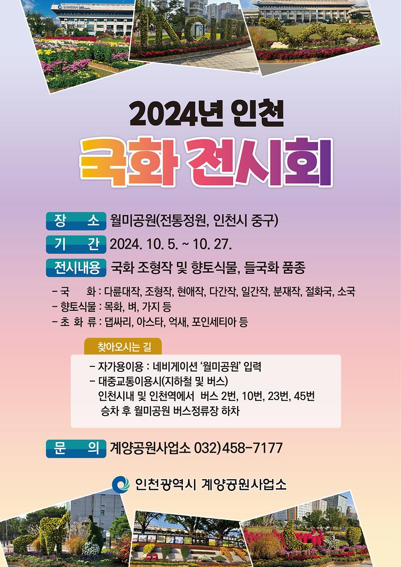 『2024년 인천 국화 전시회』 개최 사진