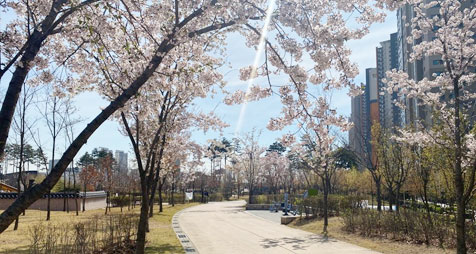 송도누리공원 사진